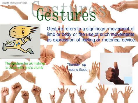 Armpit Display Body Language 的图像结果