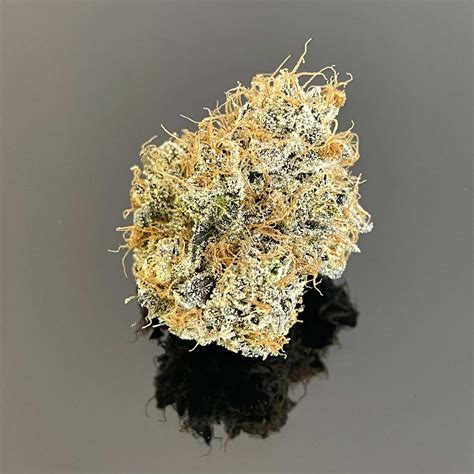 Gushers Strain Bursting with Flavor and Potency | Royal Trees | RiZe