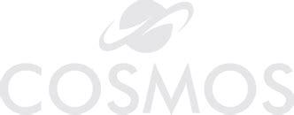 Buy COSMOS MRO Paint Remover Spray Online – Cosmos Paints India