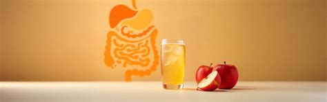 Apple Cider Vinegar and Gut Health - A Natural Probiotic? – NAKPRO ...