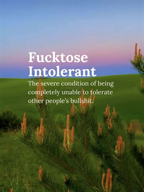 Pin van Marianne Igoe op words in 2025 | Mooie woorden, Inspirerende ...