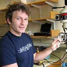 Florian Engert | PhD Program in Neuroscience