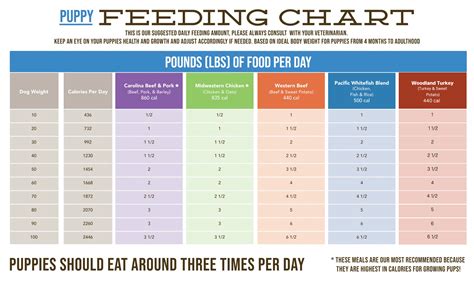 Puppy Chow Feeding Chart