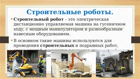 Функциональное разнообразие роботов.
