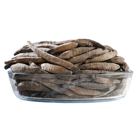 Marathi Moggu / Kapok Buds – palmtreeshopping