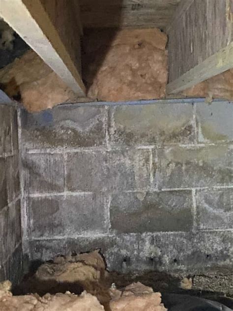 Image result for Efflorescence Repair