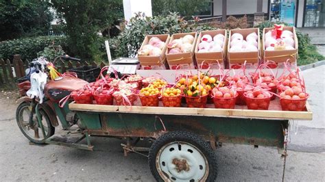 农村橘子大王买橘子，一年到头在路边卖橘子甘甜可口，每次买几斤-三农视频-搜狐视频