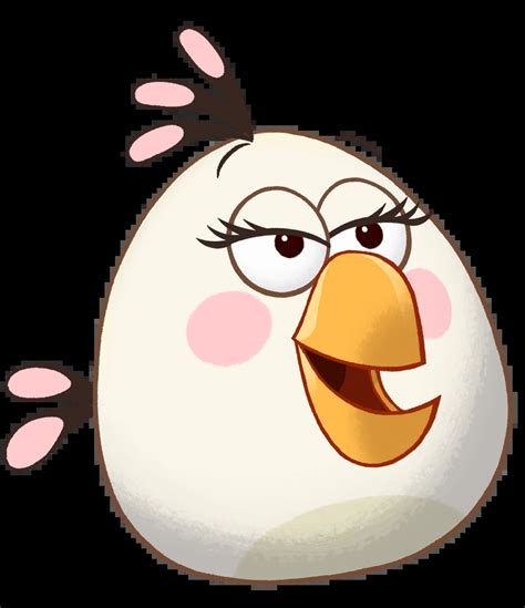 Image result for One Example of Microevolution