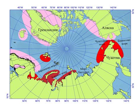 История китобойного промысла в Русской Арктике – GoArctic.ru – Портал о ...