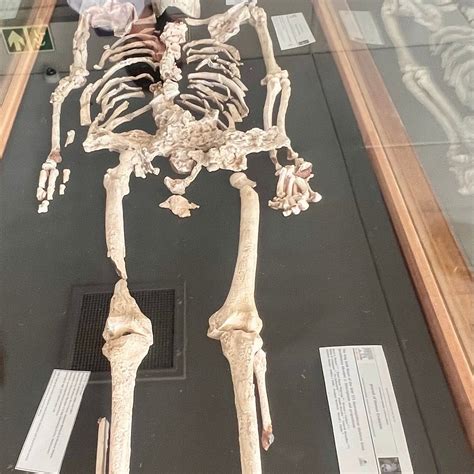 STERKFONTEIN CAVE - All You Need to Know BEFORE You Go 2026 (with ...