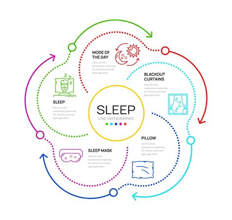 Healthy Sleep Cycle Graph 的图像结果