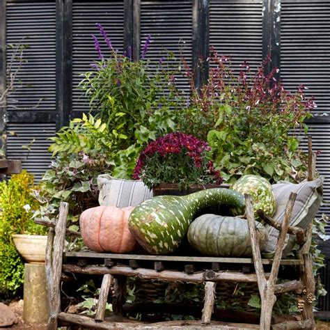 Get Inspired with Healthy Aging and Fall Decor Tips - Cindy Hattersley ...