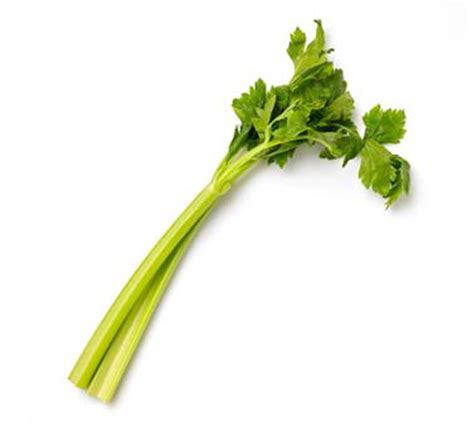 Celery Stalk Planting