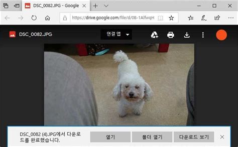 Open Download File in Windows 10 的图像结果
