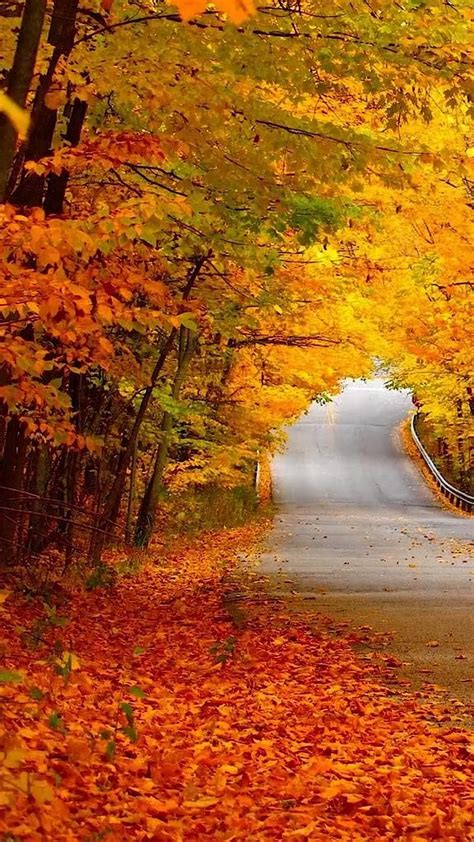 Image result for Fall Scenes Beautiful Nature