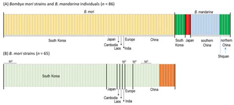 Phylogeographic Relationships among Bombyx mandarina (Lepidoptera ...