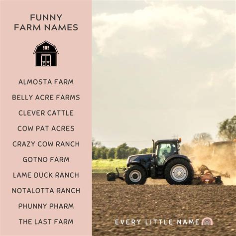 120+ Best Farm Names (Whimsical, Funny, and Catchy) - Every Little Name
