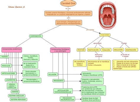 Image result for Example of Short Program Paper in Class
