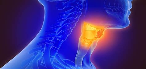 Neck Design Cutting 的图像结果