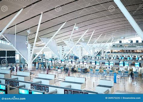 Travel. Airport 的图像结果