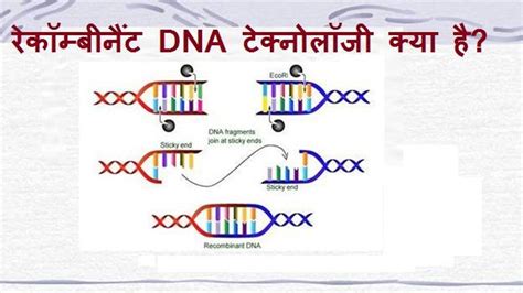 What is DNA technology and DNA Technology Regulation Bill?