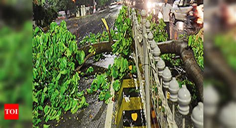Thundershowers, squall lash Patna | Patna News - Times of India
