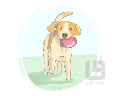 Image result for Fetch Definition