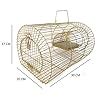 Shelter Rat Trap Cage, Rodent Control, Pinjra for Rat, Mouse and Mice ...