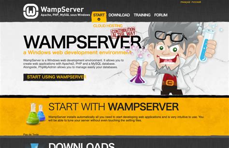 Download Local Software 的图像结果