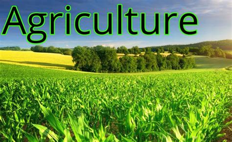 Agriculture 的图像结果