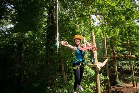 Flying Rabbit Adventures | Aerial Adventure Park | Book Now!