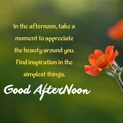 Beautiful Good Afternoon Quotes With Images