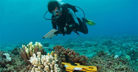 Marine Biologist Salary Chart