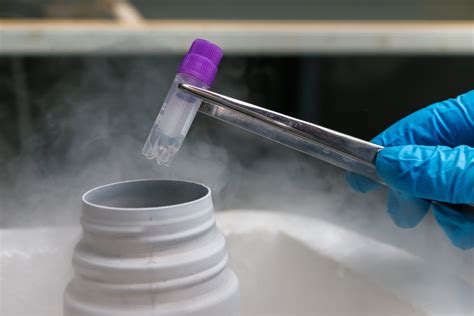 Cryobank of sperm and other biomaterials | Militta