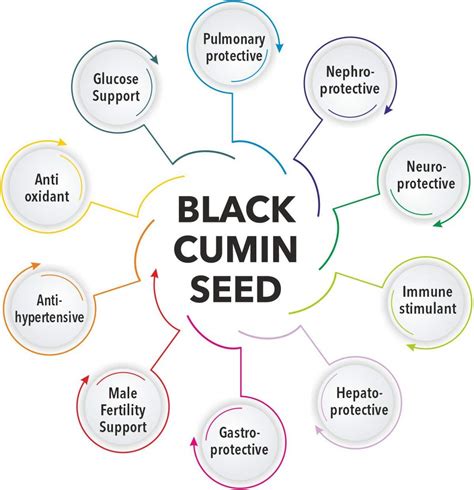 Nigellin- Black cumin seed Health Benefits