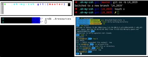 Messed up fonts for zsh in urxvt : r/archlinux