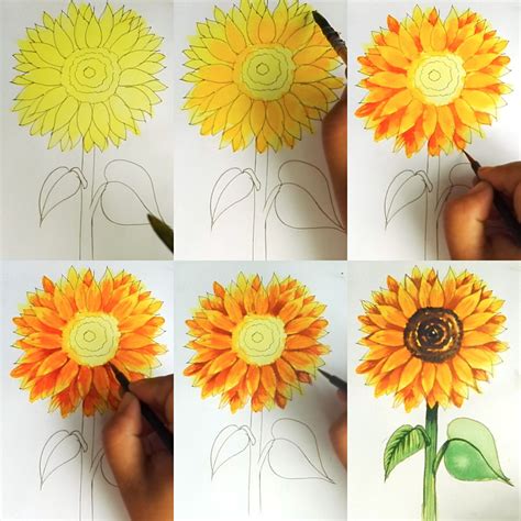 Hiart super easy how to draw a sunflower with watercolor and basic line ...