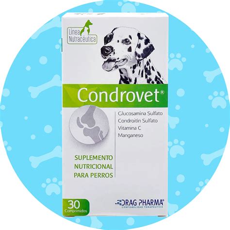 ¿Qué son y para qué sirven la glucosamina y la condroitina? - Blog Petco Chile