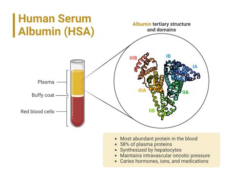 Pharmaceutical Proteins At The Interfaces And The Role Of Albumin – ELXJC