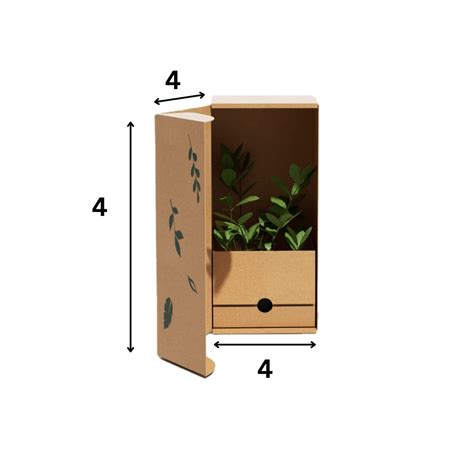 Buy 4x4x4 Flower & Plant Boxes Online | Best Price in India - Packbox