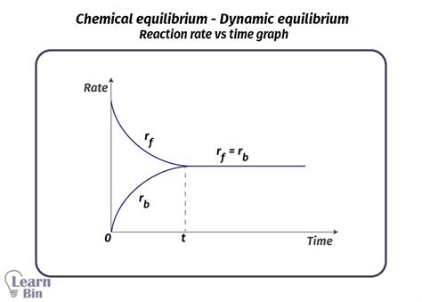 Image result for Dynamic Equilibrium Graph