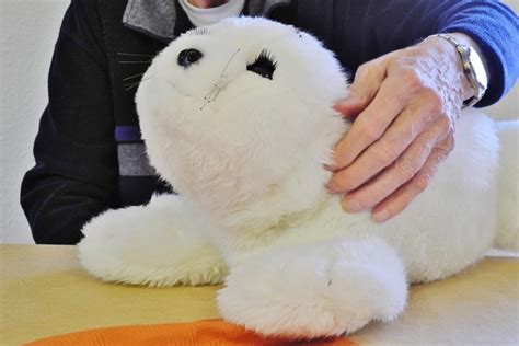 Mitmachen: Umfrage zu Robotern in der Altenpflege - Altenpflege