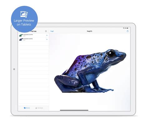 Image result for Backblaze Mobile-App