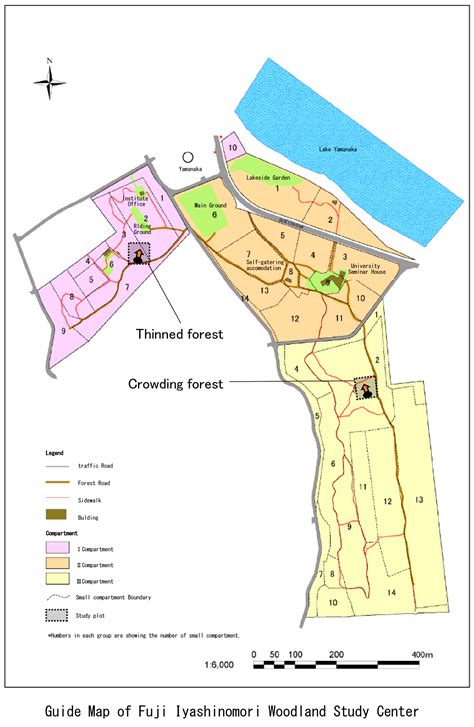 Management Effectiveness of a Secondary Coniferous Forest for Landscape ...
