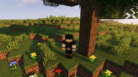 Image result for Southern Oracle Minecraft