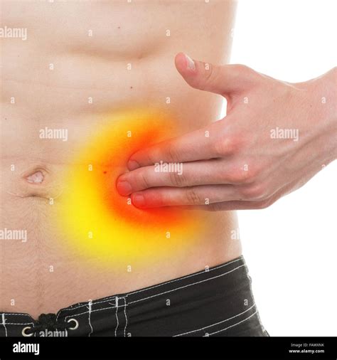 Abdominal Pain - Male Anatomy Left Side Pain isolated on white - REAL Anatomy Stock Photo - Alamy