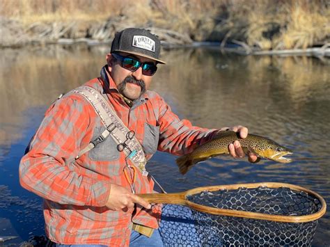 East Walker River (NV) - Lyon County, NV - Fish Reports & Map
