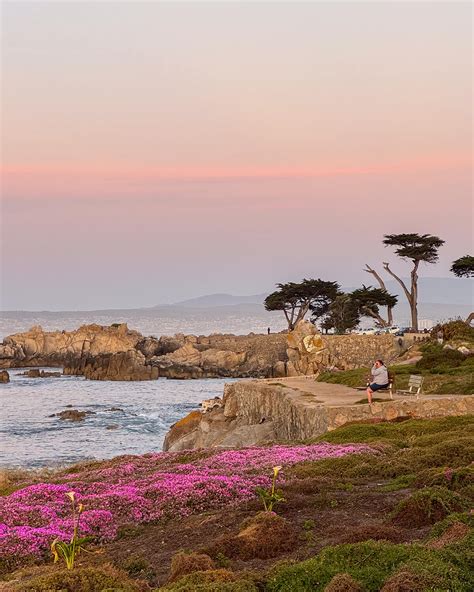 perkins park at sunset monterey ca - Le Wild Explorer