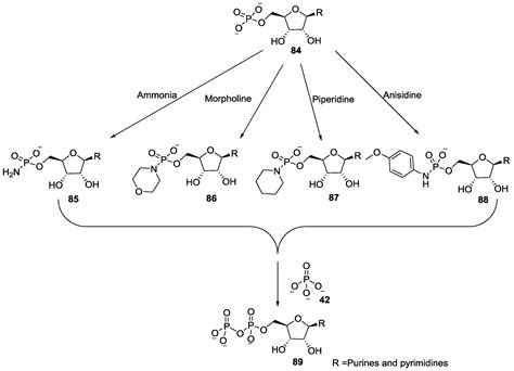 Nitrogenous Derivatives of Phosphorus and the Origins of Life ...