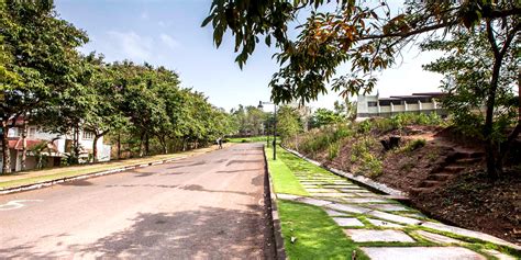 PA First Grade College Mangalore